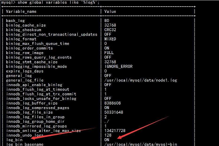 mysql数据库数据删除怎么恢复