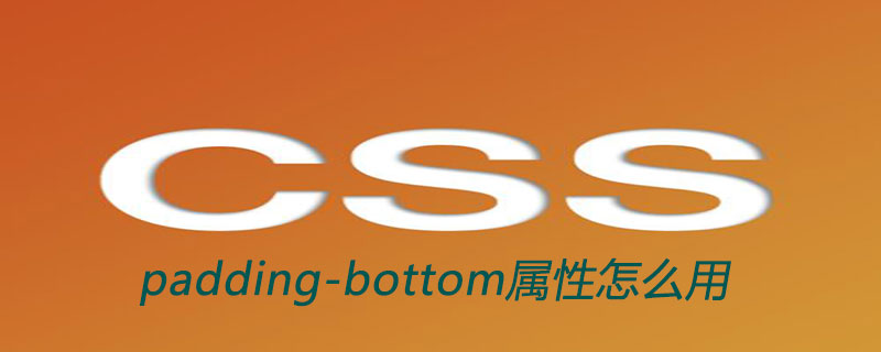 css padding-bottom属性怎么用