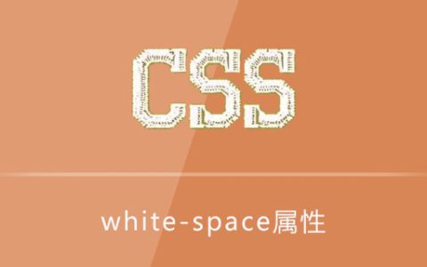 css white-space属性怎么用