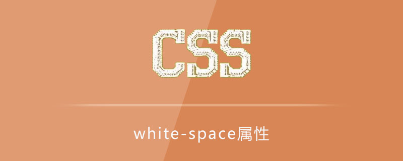 css white-space属性怎么用