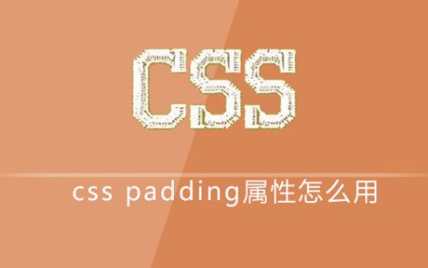 css padding属性怎么用