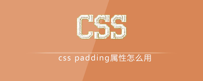 css padding属性怎么用