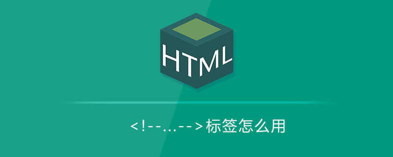 html 标签怎么用