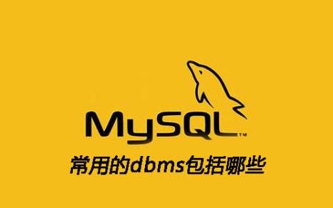 常用的dbms包括哪些