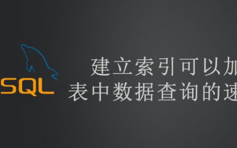 建立索引可以加快表中数据查询的速度吗