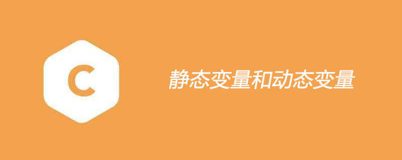 ​静态变量和动态变量