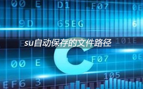 c语言中int是什么意思