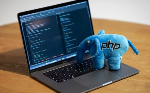 如何从数据库中获取数据并以 PHP 形式形成？