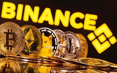 莱特币 vs 比特币：哪个更适合新手入门？