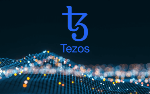 Tezos（XTZ）自升级区块链：新手如何参与治理