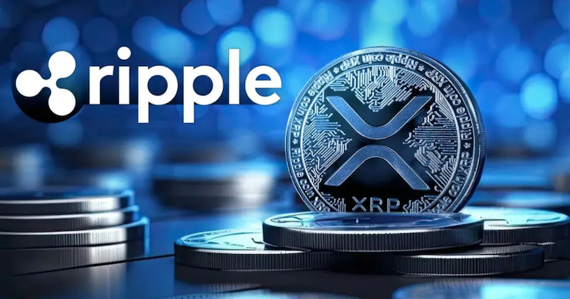 瑞波币(xrp)官司终局将至,胜诉后能重回巅峰吗? - 创想鸟