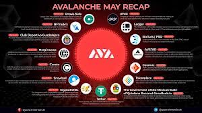 avalanche(avax)生态爆发!哪些项目值得提前布局? - 创想鸟
