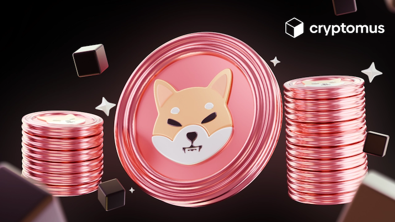 柴犬币(shib)销毁计划进展如何?社区自治真的有效吗? - 创想鸟