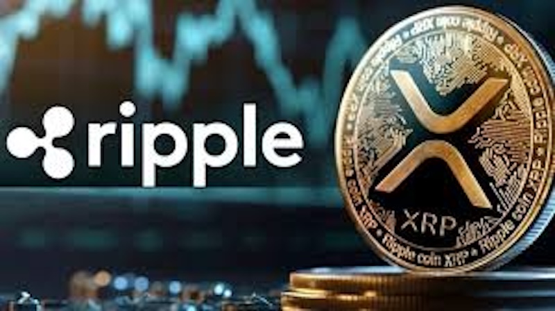 瑞波币（xrp）与美国sec达成和解后，价格为何不涨反跌？ - 创想鸟