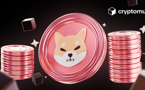 柴犬币（SHIB）销毁机制详解：真的能推动价格上涨吗？