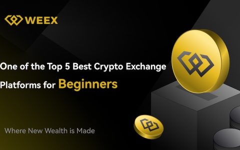 Weex交易所官网  Weex交易所官网注册指南