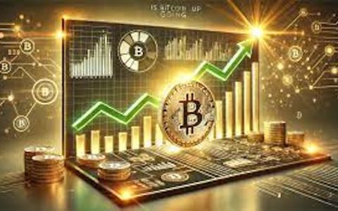 为什么全球巨头都在布局比特币？ 不仅是数字黄金，这5个用途将改变未来经济格局