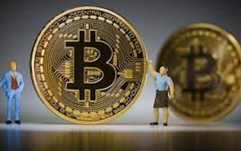 币圈黑话太多？一文读懂关键逻辑和风控秘诀！