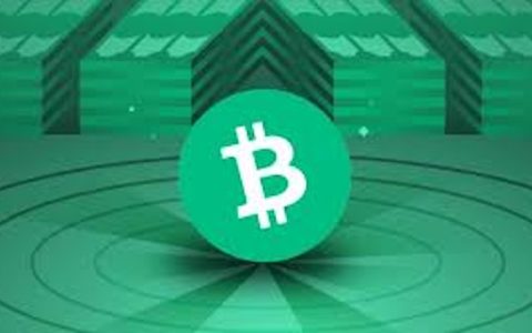 模块化区块链成开发者新宠，Celestia与Avail竞争激烈