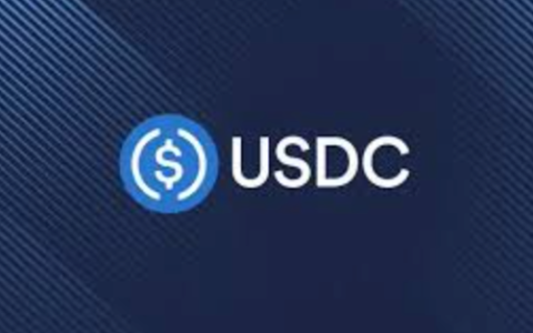USDC与DAI对比分析 如何选择最佳稳定币