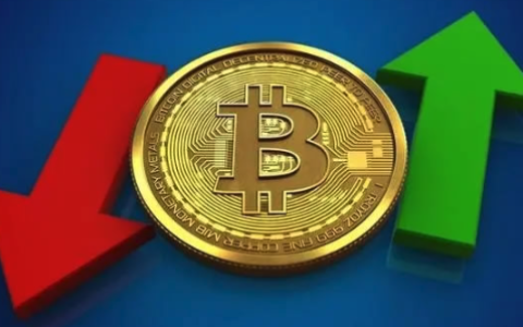 2025年比特币价格展望：BTC飙升至30万美元？以太坊突破1万美元？
