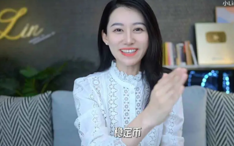 小Lin说发布的《一口气了解稳定币》视频讲了些啥