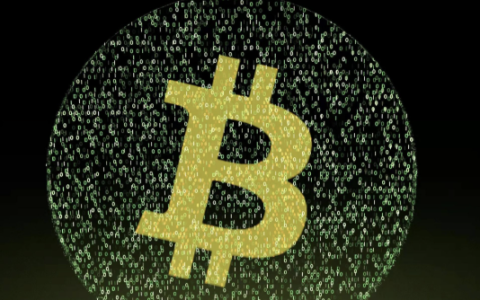 在币圈赚钱的只有一种人