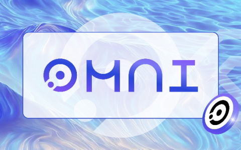 手把手教你购买Omni：小白必读 如何避免常见错误顺利买入Omni？