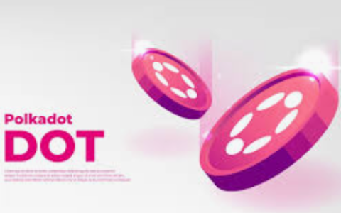 POLKADOT币是什么？如何通过DOT生态赚取奖励？