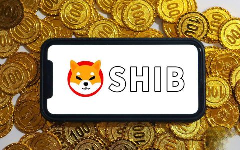 哪些信息渠道适合新手了解加密货币市场