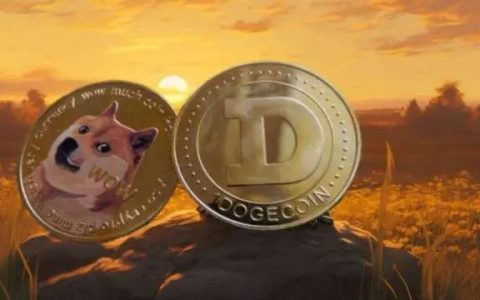 新手如何购买狗狗币？DogeOS官方入口推荐