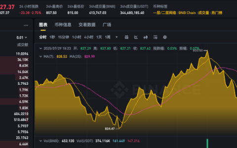 如何低价购入币安币BNB最优解？bnb币价格今日行情实时跟踪App解析