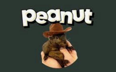 什么是Peanut the Squirrel？PNUT币价格预测2025-2030年