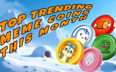 meme币龙头币有哪些？2025下半年该关注哪些meme币龙头币