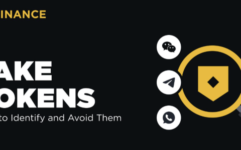 币安智能链上新 Tokens 项目潜力大揭秘