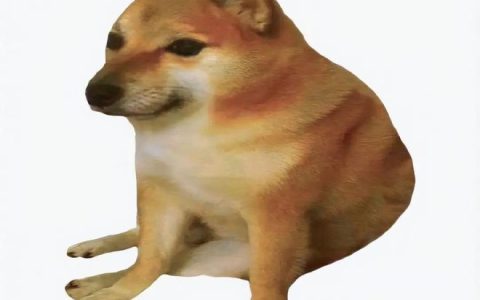 狗狗币的“超级周期”猜想：它真的能冲上1美元吗？