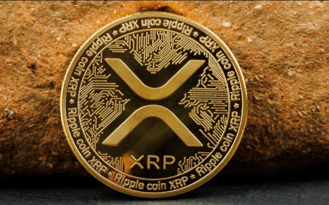 瑞波币生态缺点有哪些 2025瑞波币生态缺点分析