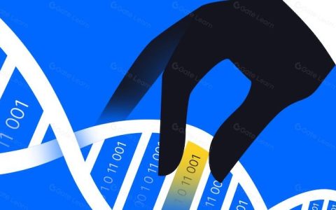 什么是Token？如何交易？和Coin有什么区别？
