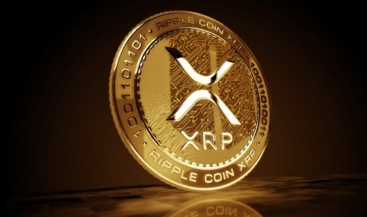 XRP合约的持仓量如何查看_XRP合约持仓量查看指南 - 创想鸟