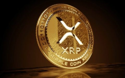 XRP官网最新登录入口地址 XRP官方网站访问入口2025版