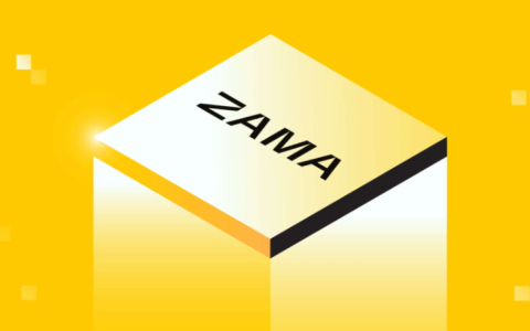 隐私协议Zama FHE代币爆火：全球AI监管加码，加密数据计算行情领跑