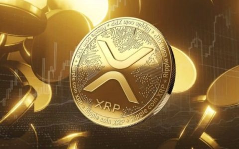 如何使用手机购买XRP？XRP保姆级入门购买攻略