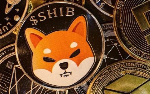 什么是SHIB（柴犬币）？如何购买、价格预测及社区分析 | 在币安（Binance）购买柴犬币全攻略