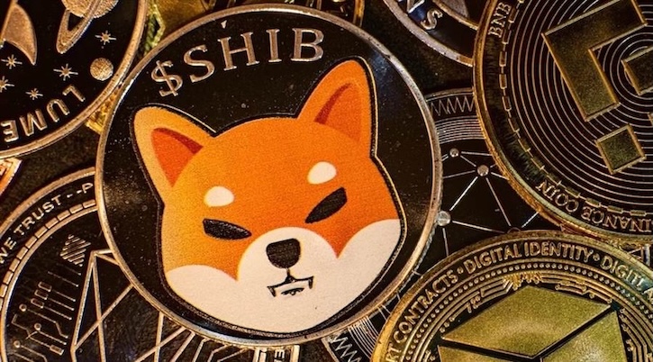 什么是shib(柴犬币)?如何购买、价格预测及社区分析 | 在币安(binance)购买柴犬币全攻略 - 创想鸟