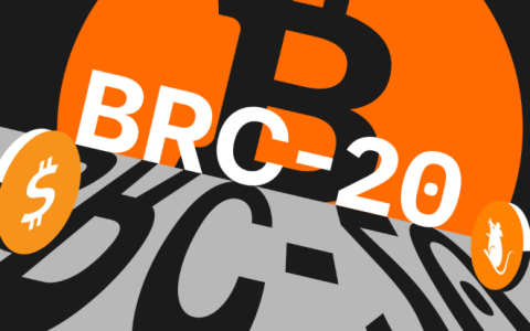 一文读懂BRC-20：比特币生态的创新与泡沫