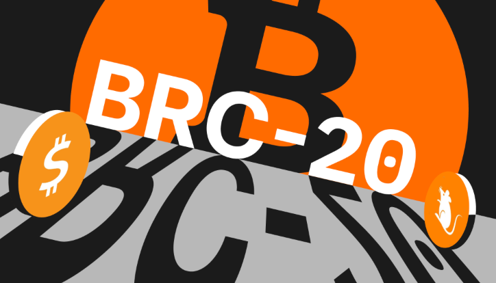 一文读懂BRC-20:比特币生态的创新与泡沫 - 创想鸟