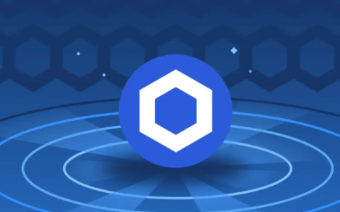 Chainlink (LINK) 2025-2030年长期价值分析：预言机龙头能否再创新高？