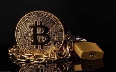2025年新手适合买的虚拟货币有哪些？适合新手购买的加密货币推荐