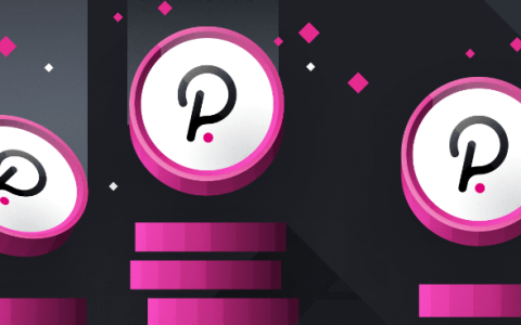 2025最新教程：Polkadot(DOT代币)怎么买？未来价格预测