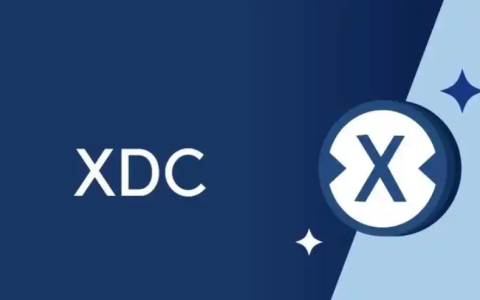 5个最佳的XDC存储工具：优缺点以及如何使用介绍